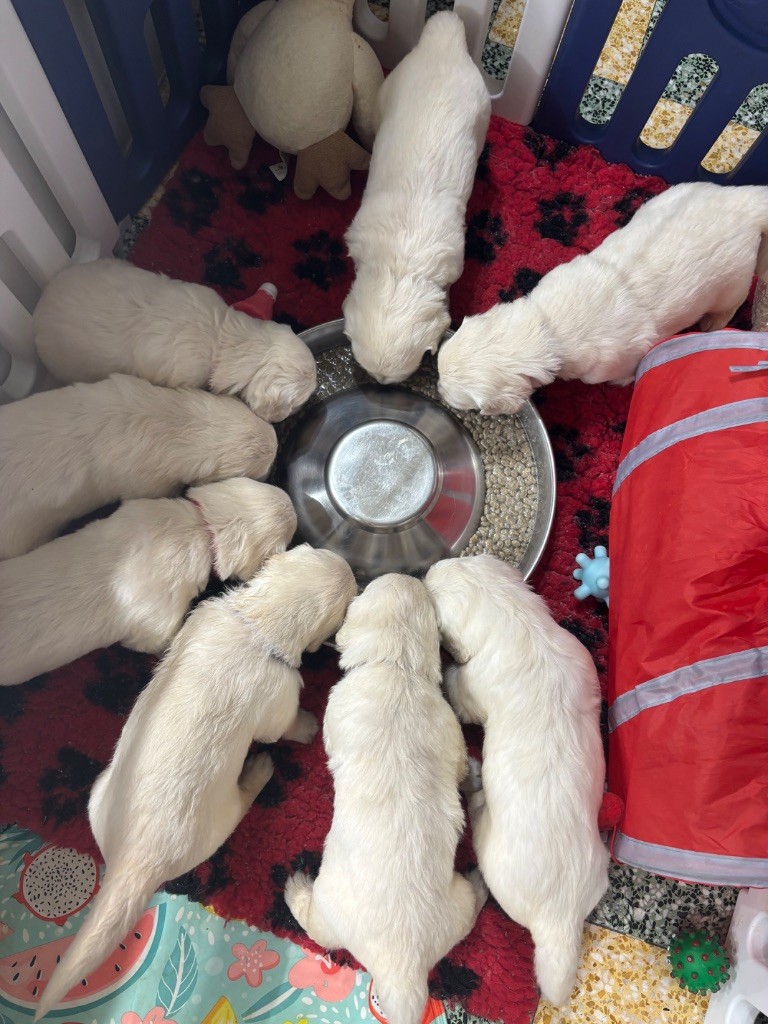 1 mois pour les bébés 