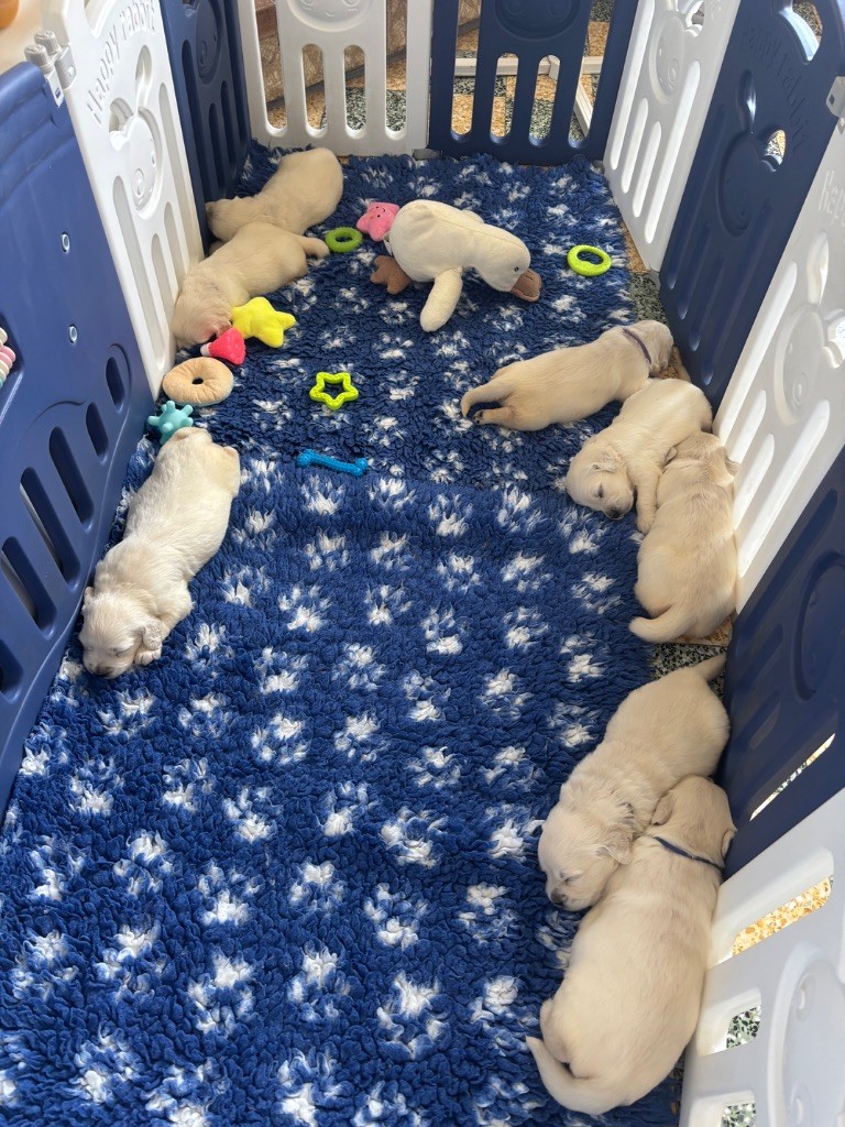 3 semaines pour les bébés 